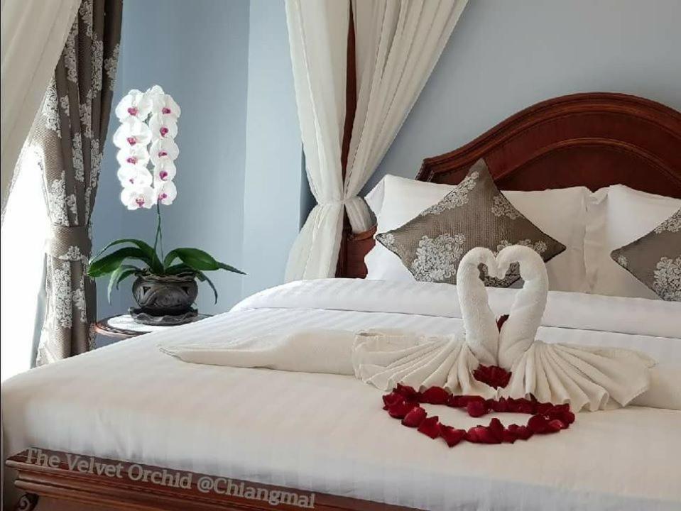 The Velvet Orchid Otel Chiang Mai Dış mekan fotoğraf